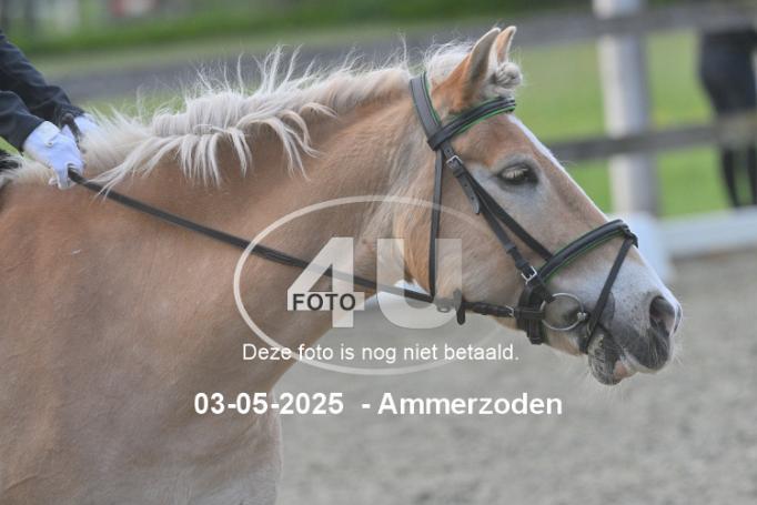 250503 6144