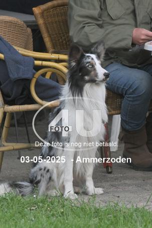 250503 6145