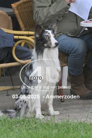 250503 6147
