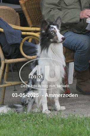 250503 6148
