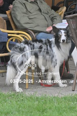 250503 6151