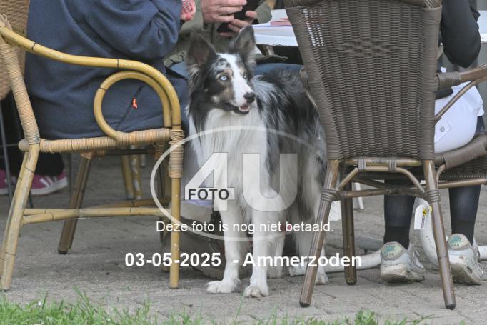 250503 6152