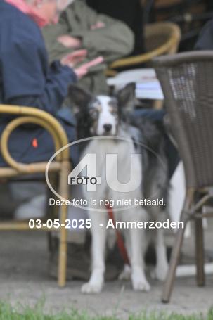 250503 6164