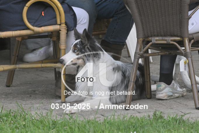 250503 6171