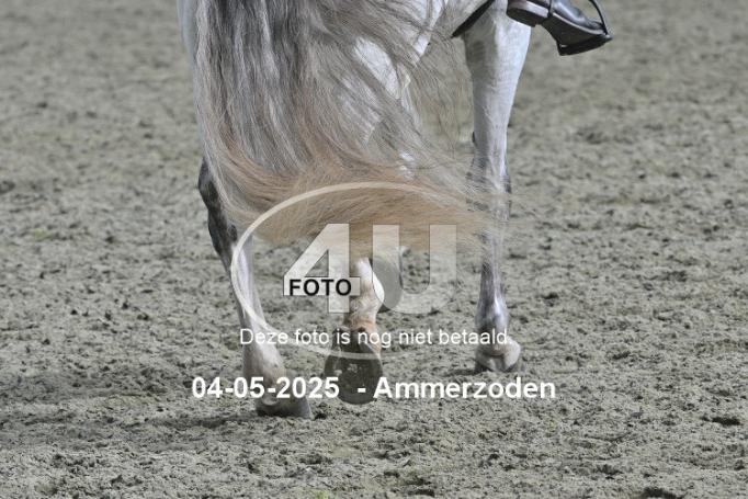 250504 1297