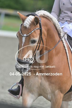 250504 1640