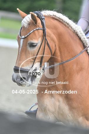 250504 1642