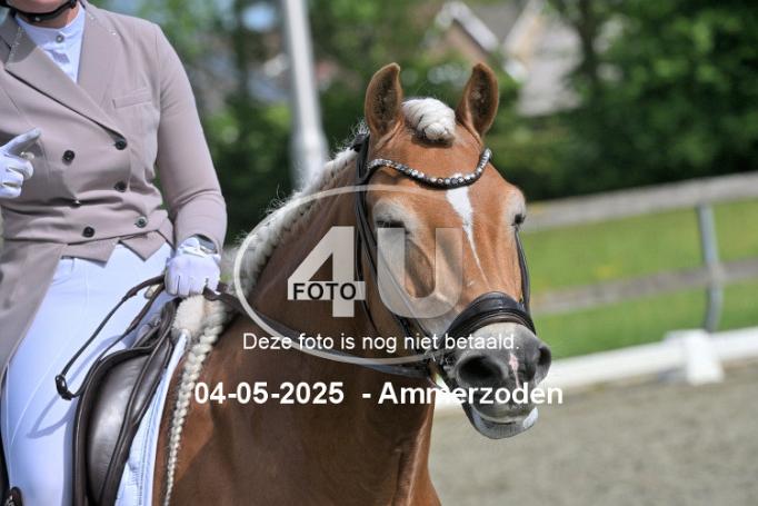 250504 1711