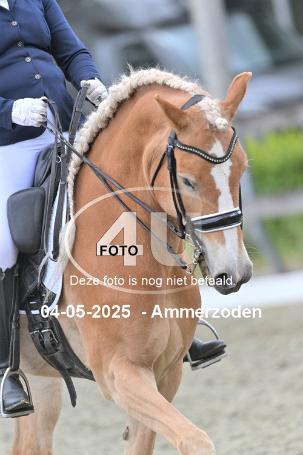 250504 2084