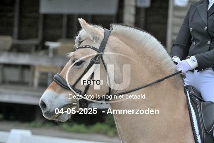 250504 2559
