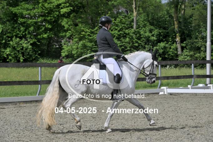 250504 3377