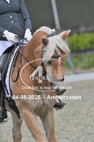 250504 3398