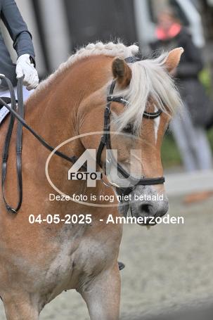 250504 3401