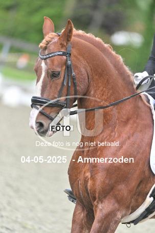 250504 3526