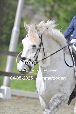 250504 3881