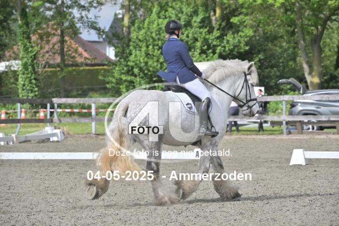 250504 3884