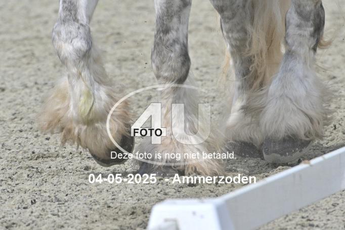 250504 3909