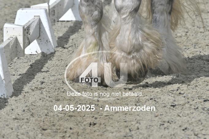 250504 3971