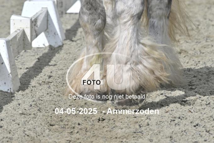 250504 3973