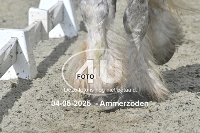 250504 3974