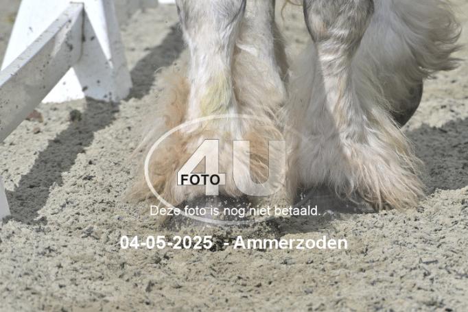 250504 3976