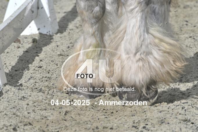250504 3977