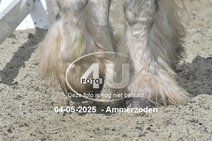 250504 3978