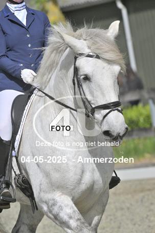 250504 3987