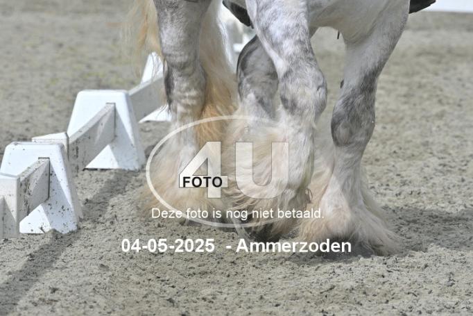 250504 4023