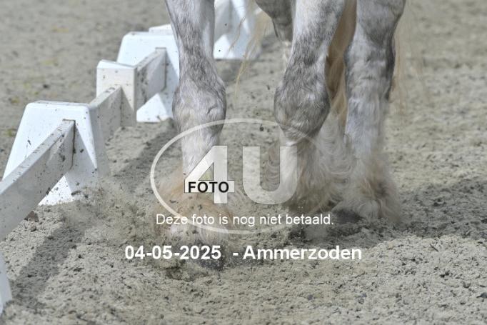 250504 4025