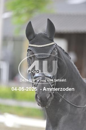 250504 4481