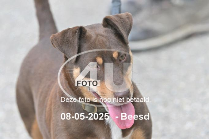250508 1648