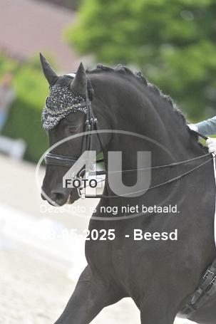 250508 1981