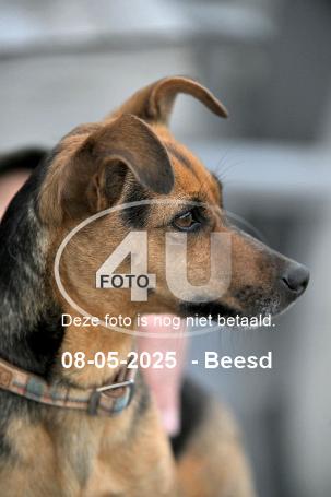 250508 2702