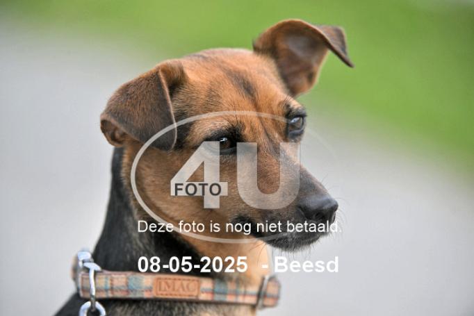 250508 2721