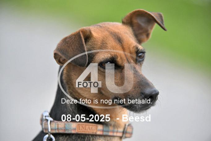250508 2722