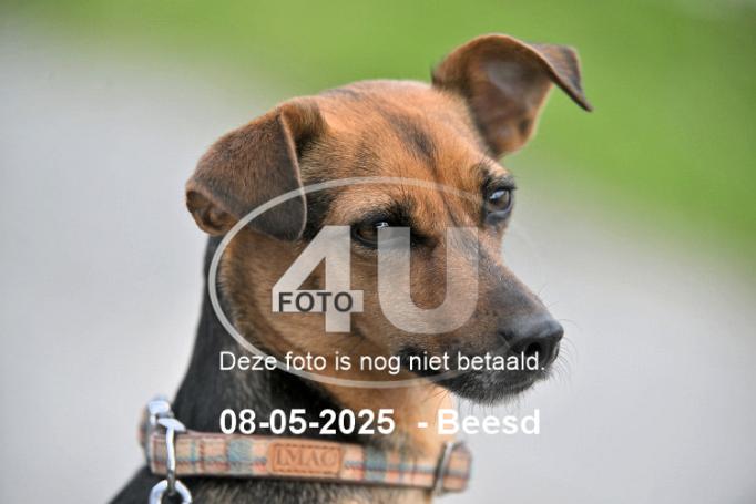 250508 2723