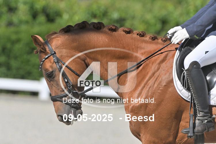 250509 0069