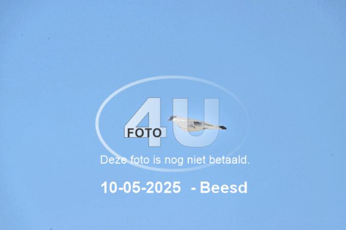 250510 0641