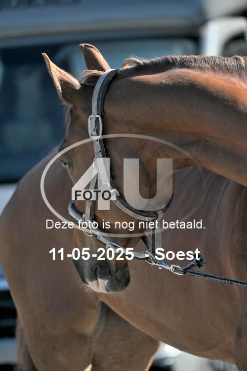 250511 0005