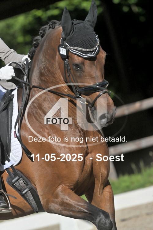 250511 0288