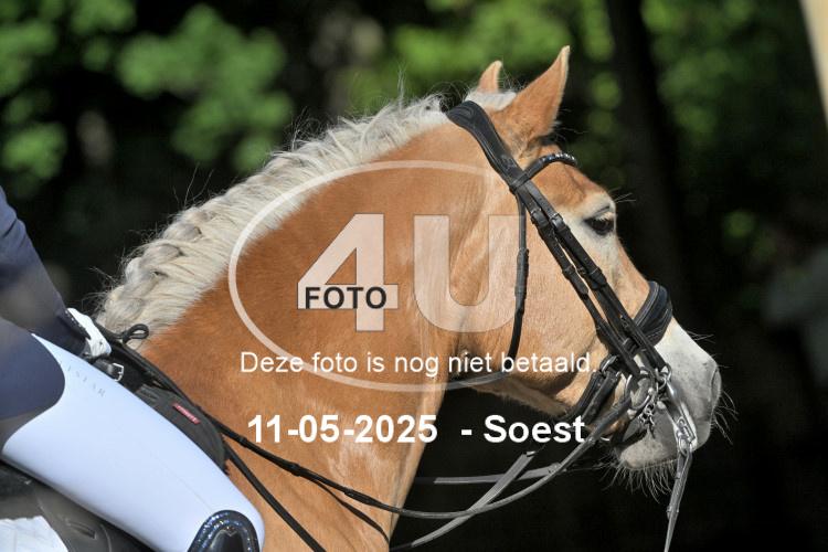 250511 0432