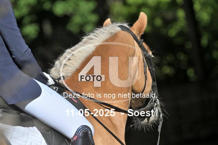 250511 0437