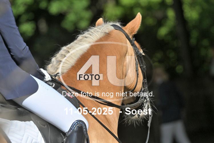 250511 0438