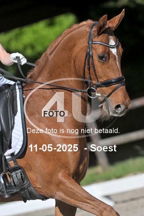250511 0519