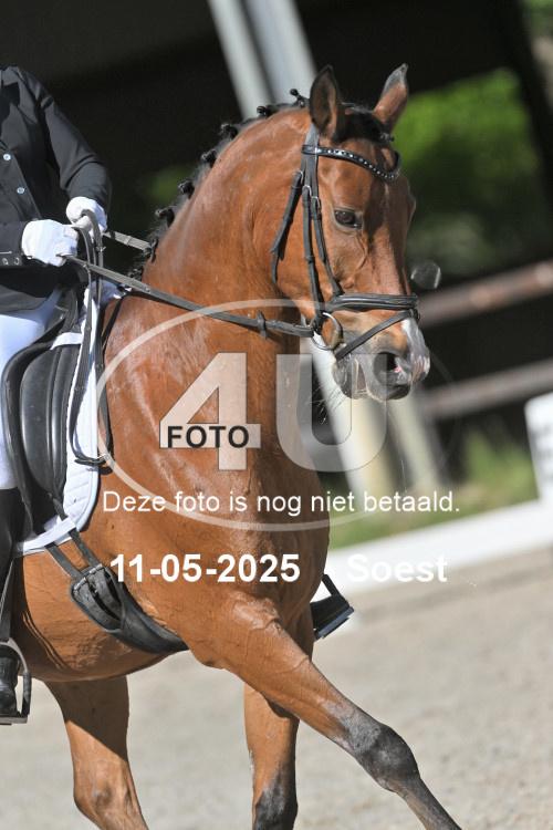 250511 0968