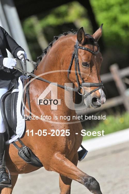 250511 0969