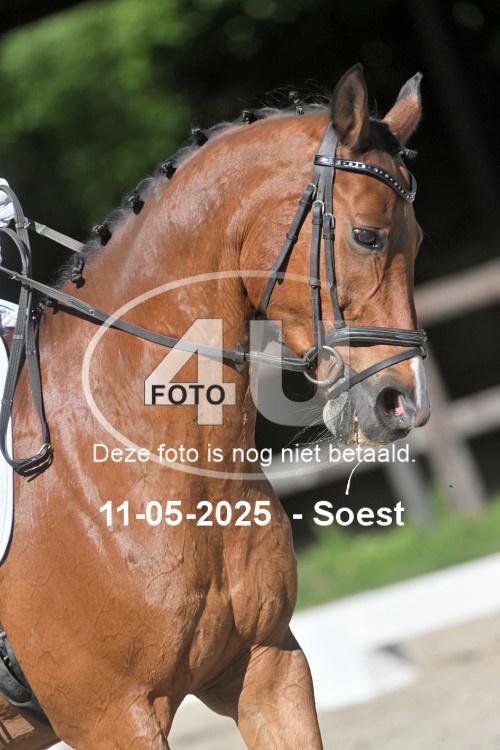 250511 0972