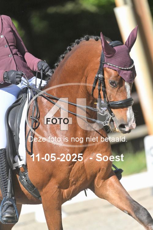 250511 1105