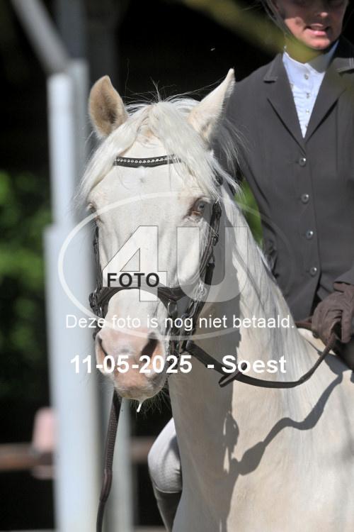 250511 1177